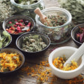 Exploring Herbal Remedies for Pain Management